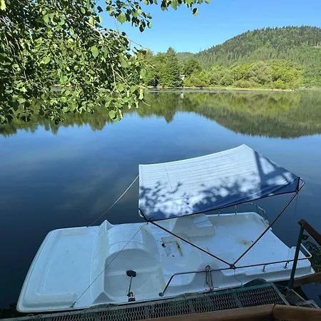 „сінай“ Yavora