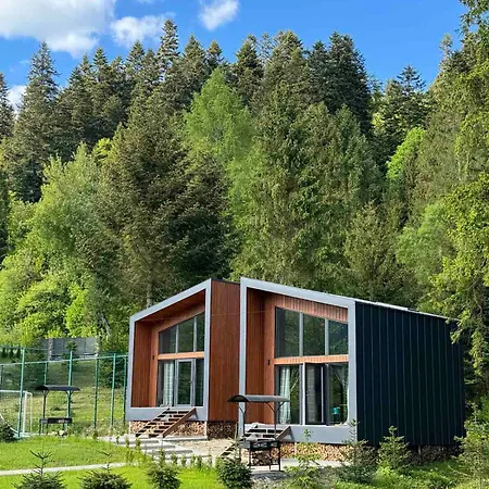 Holiday home „сінай“